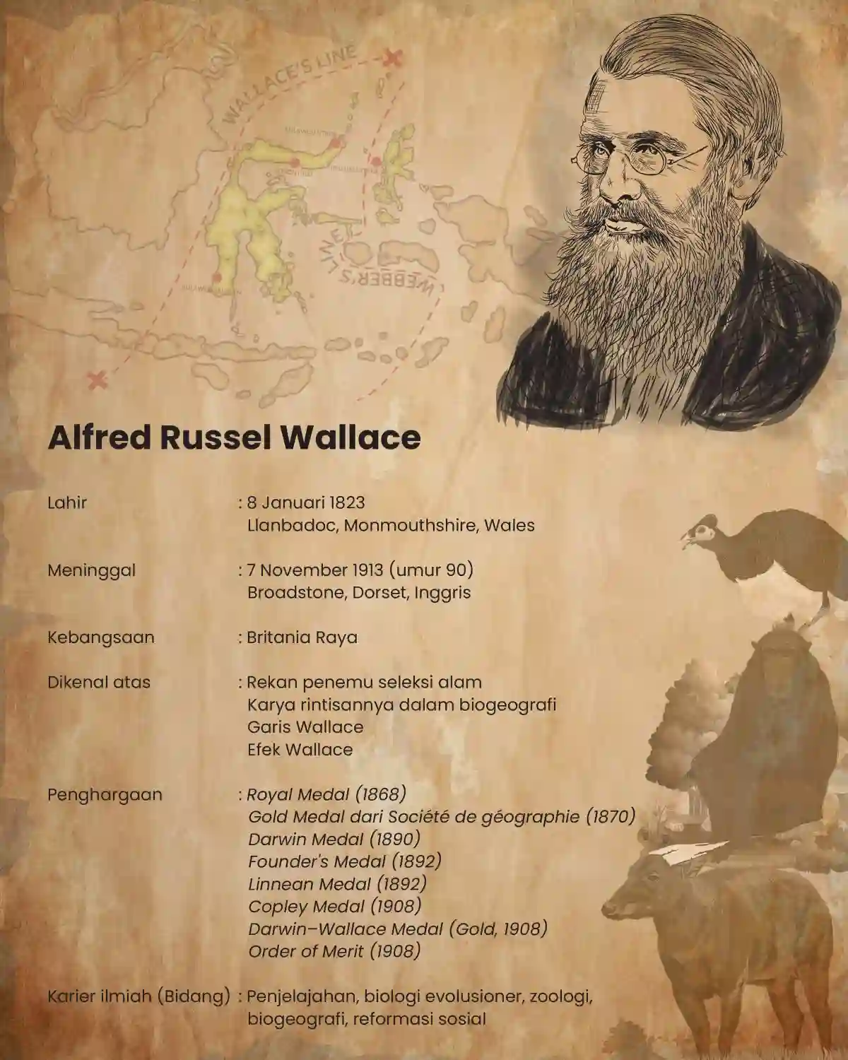 Wallacea Expedition Route (book) mockup 3