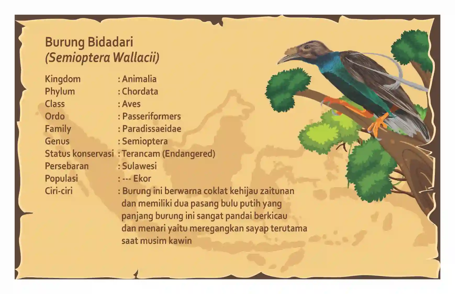 Wallacea Expedition Route (book) mockup 9